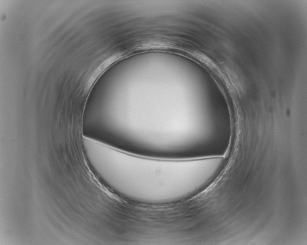 X0000057061337200509090807