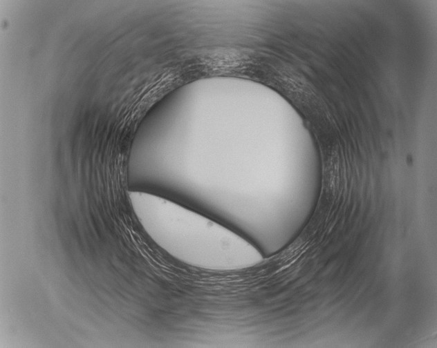 X0000057061346200509090807