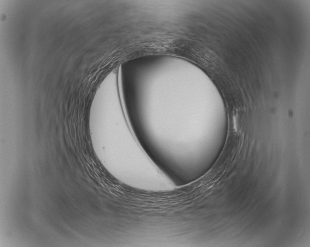 X0000057061347200509090807
