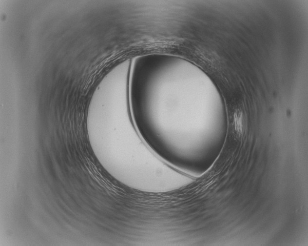 X0000057061348200509090807