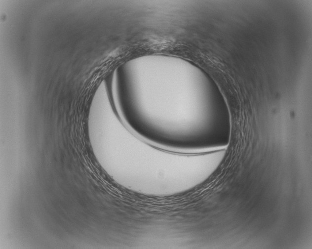 X0000057061349200509090806