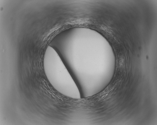 X0000057061350200509090806