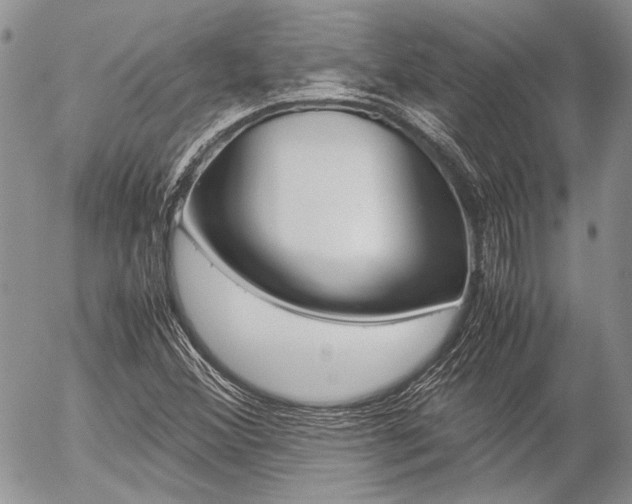X0000057061356200509090806