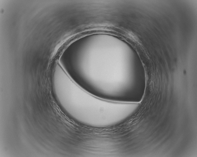 X0000057061360200509090806