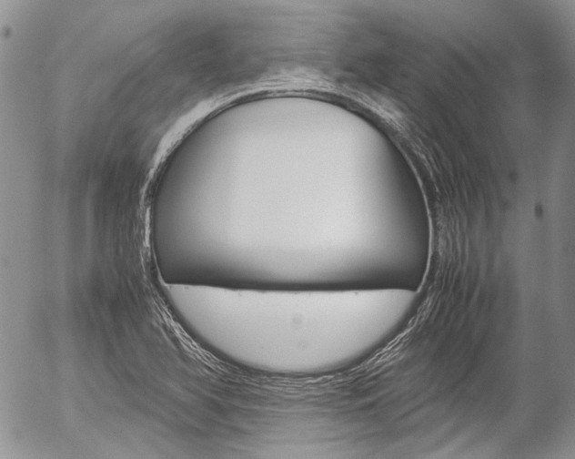 X0000057061366200509090806