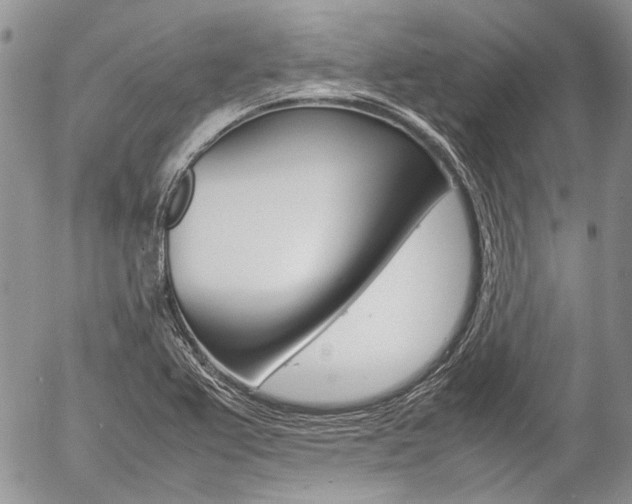 X0000057061367200509090806