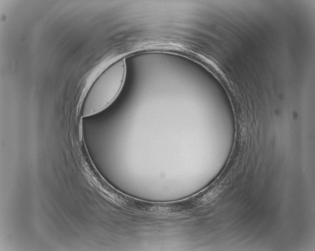 X0000057061371200509090806