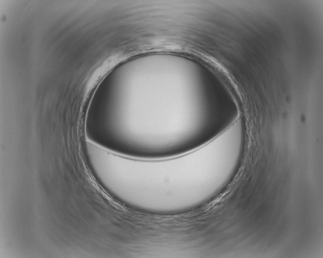 X0000057061373200509090806