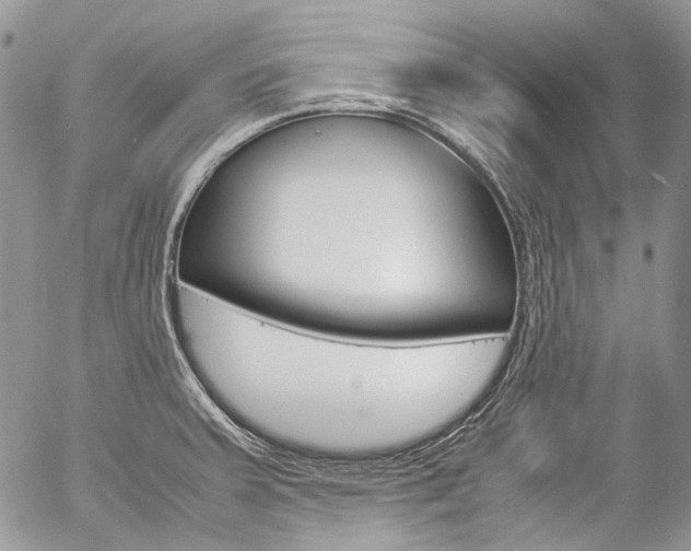 X0000057061379200509090806