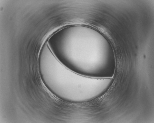 X0000057061380200509090806