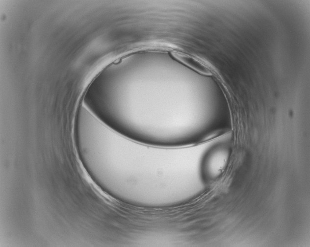 X0000057061391200509090806