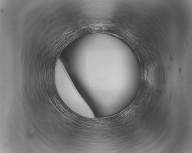 X0000057061396200509090805