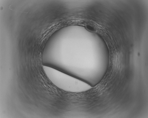 X0000057061397200509090805