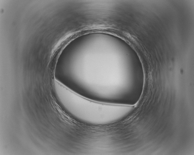 X0000057061406200509090805