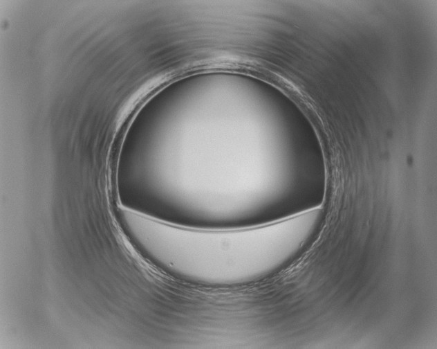 X0000057061418200509090805