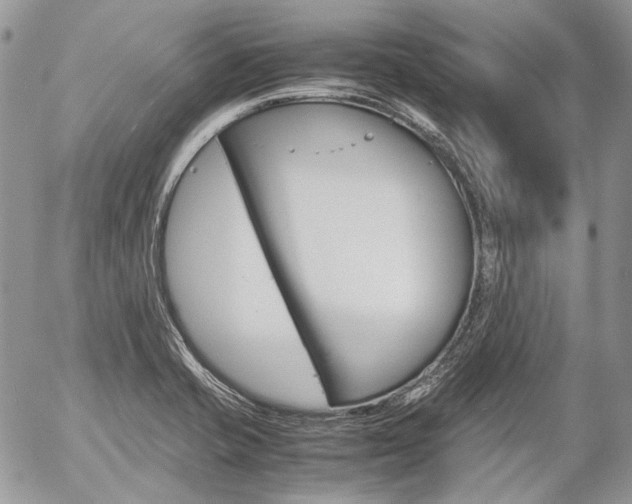X0000057061421200509090805