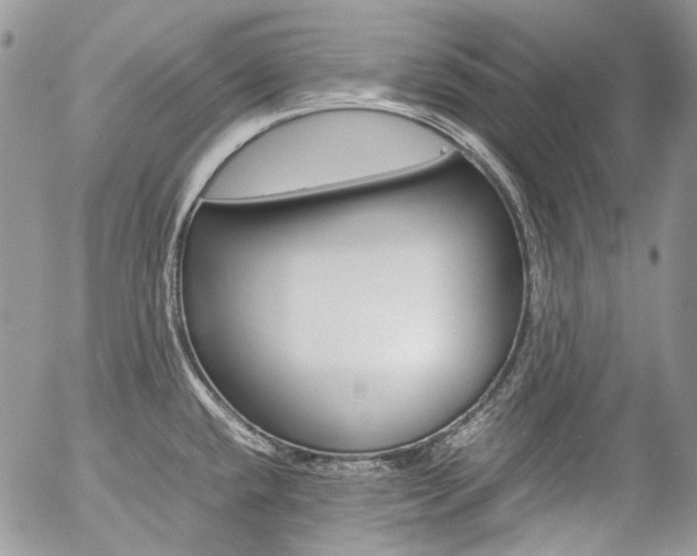 X0000057061432200509090806