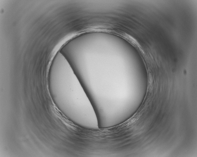 X0000057061435200509090806