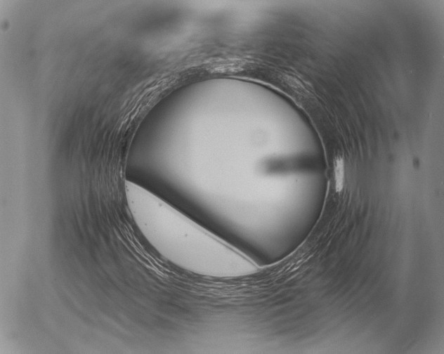 X0000057061444200509090805