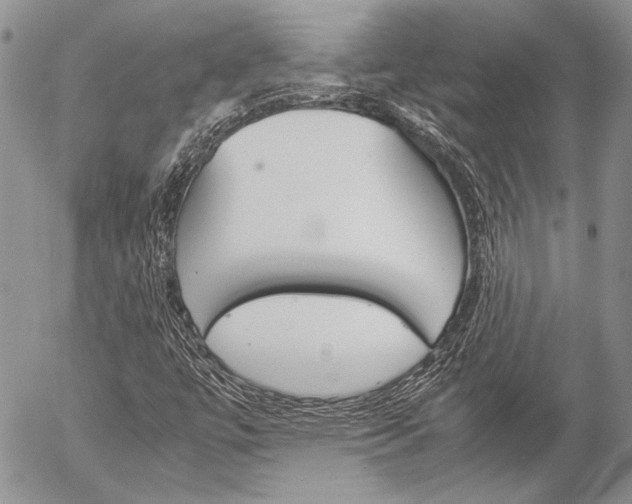 X0000057061447200509090805