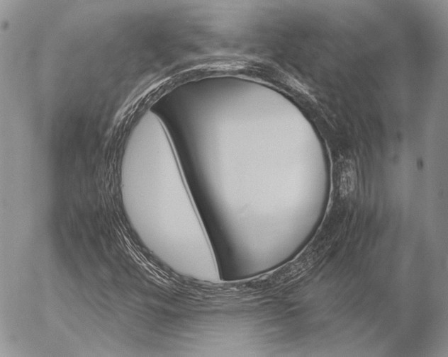 X0000057061448200509090805