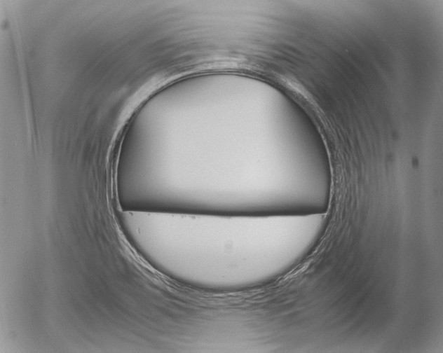 X0000057061467200509090805