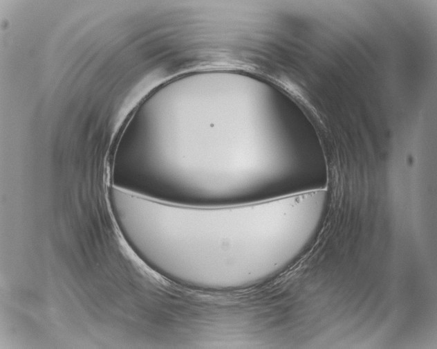 X0000057061476200509090804