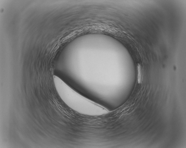 X0000057061491200509090803