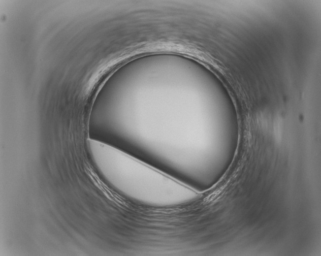 X0000057061499200509090804