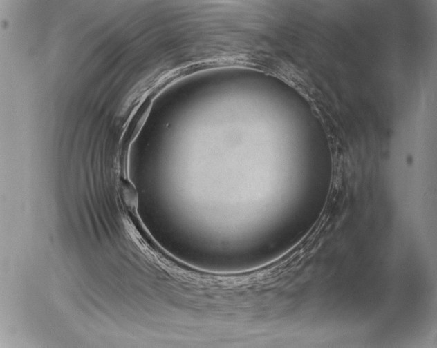 X0000057060002200509091209