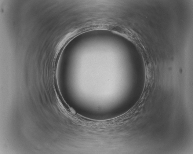 X0000057060003200509091209