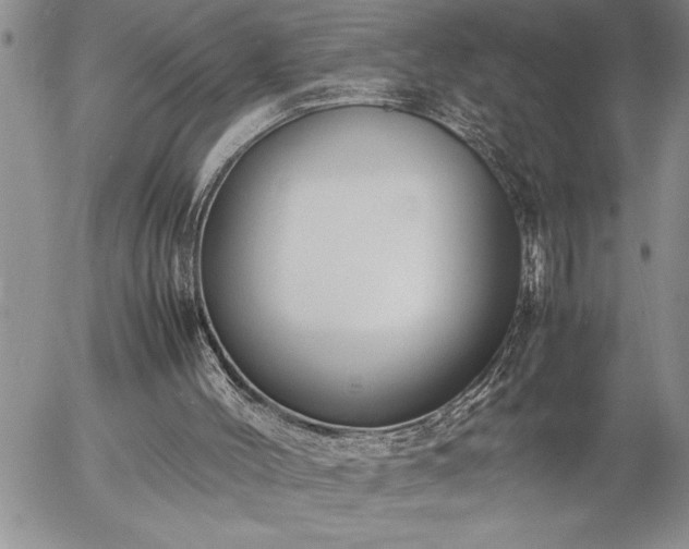 X0000057060004200509091209