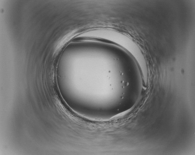 X0000057060005200509091209