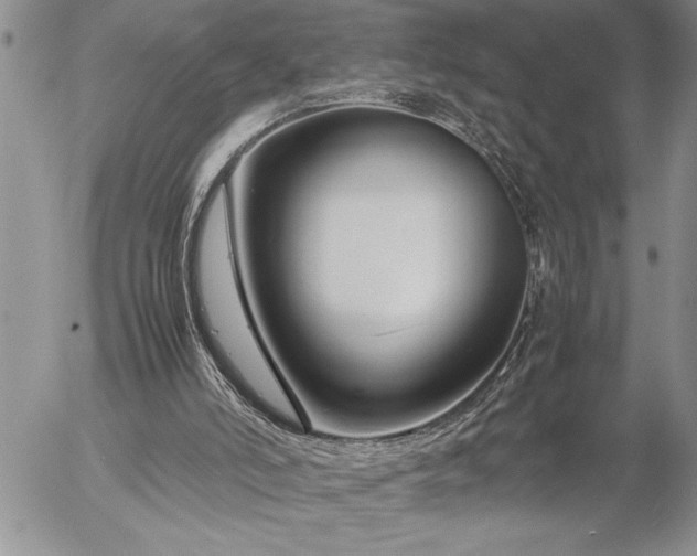 X0000057060006200509091209