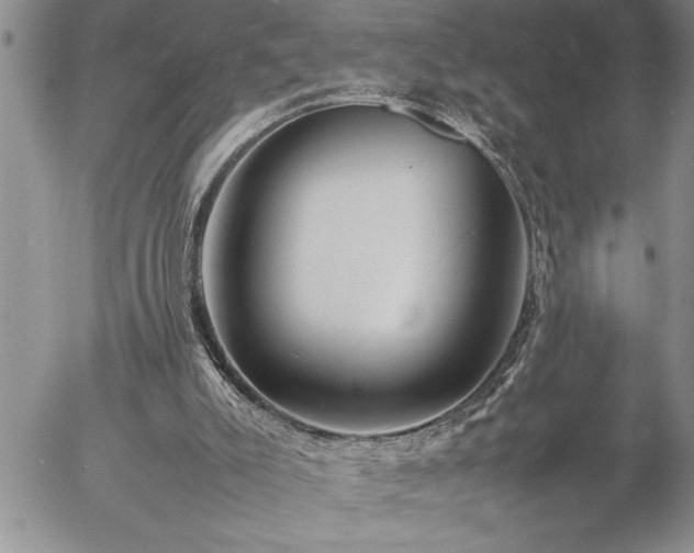 X0000057060007200509091209