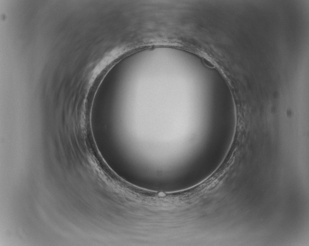 X0000057060008200509091209