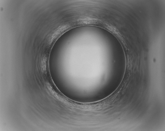 X0000057060010200509091208