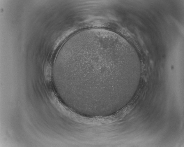 X0000057060012200509091208