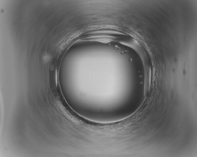 X0000057060013200509091208