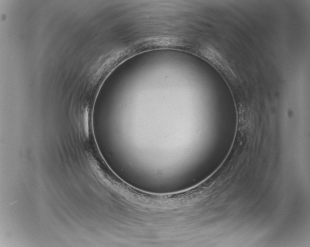 X0000057060014200509091208