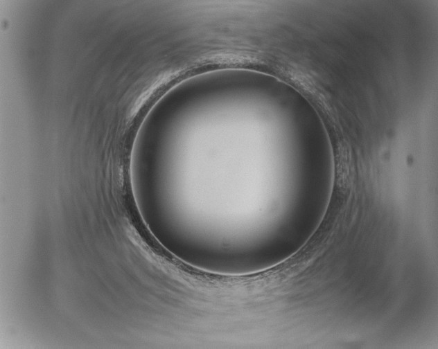 X0000057060015200509091208