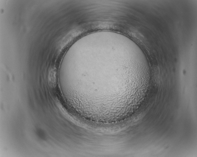 X0000057060016200509091208