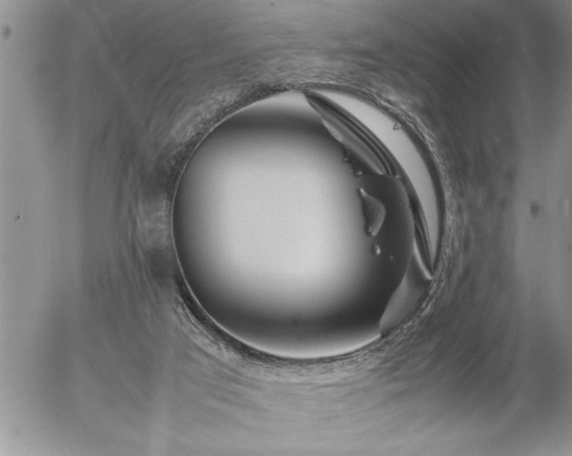 X0000057060017200509091208