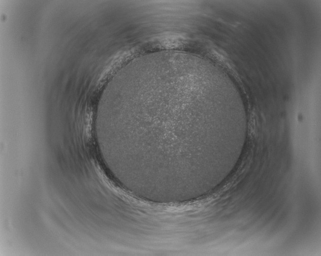 X0000057060018200509091208