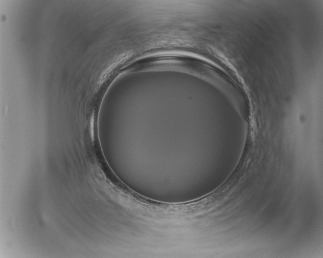 X0000057060019200509091208