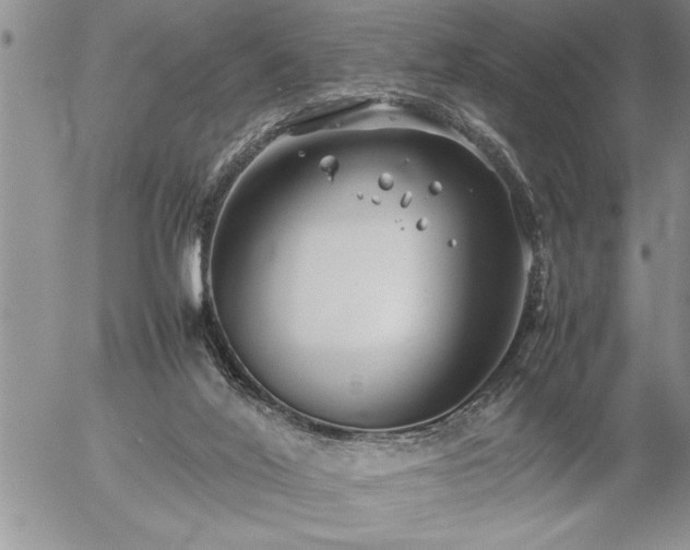 X0000057060020200509091208