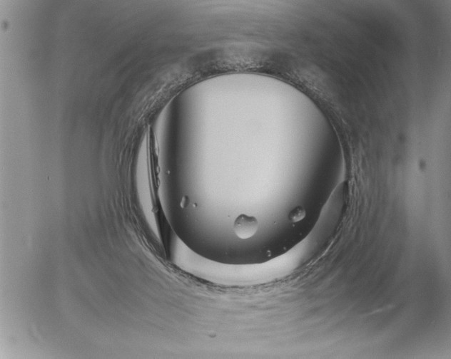 X0000057060021200509091208