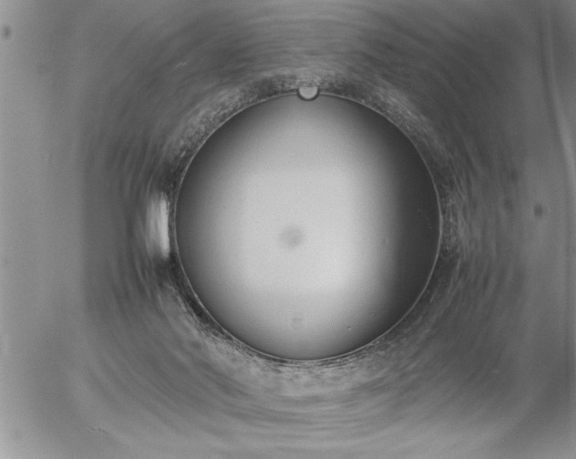 X0000057060022200509091208