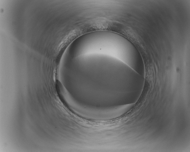 X0000057060023200509091208