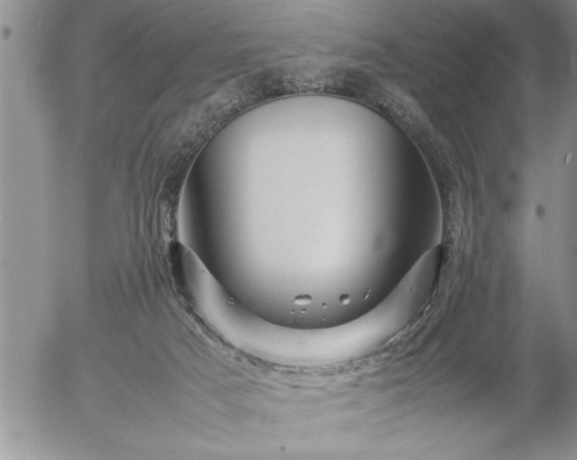 X0000057060025200509091208